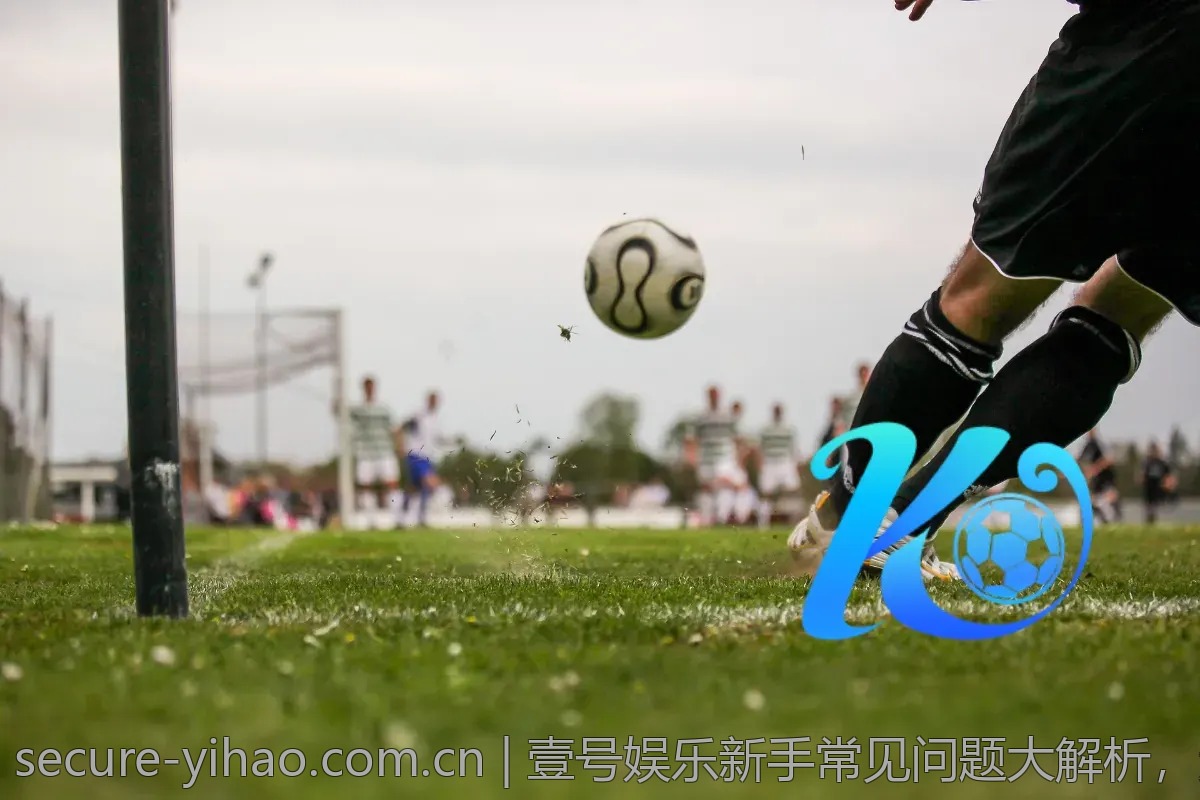 壹号娱乐新手常见问题大解析，避免踩坑