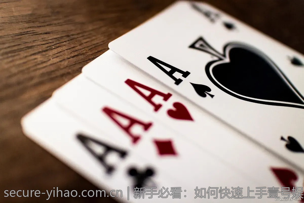 新手必看：如何快速上手壹号娱乐的各项功能？