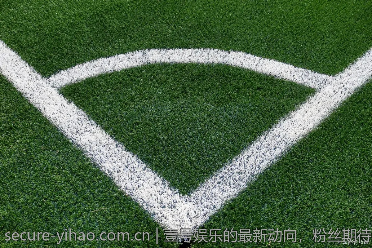 壹号娱乐的最新动向，粉丝期待哪些新项目？