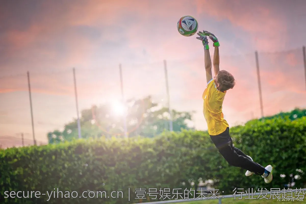 壹号娱乐的未来：行业发展趋势与前瞻观察
