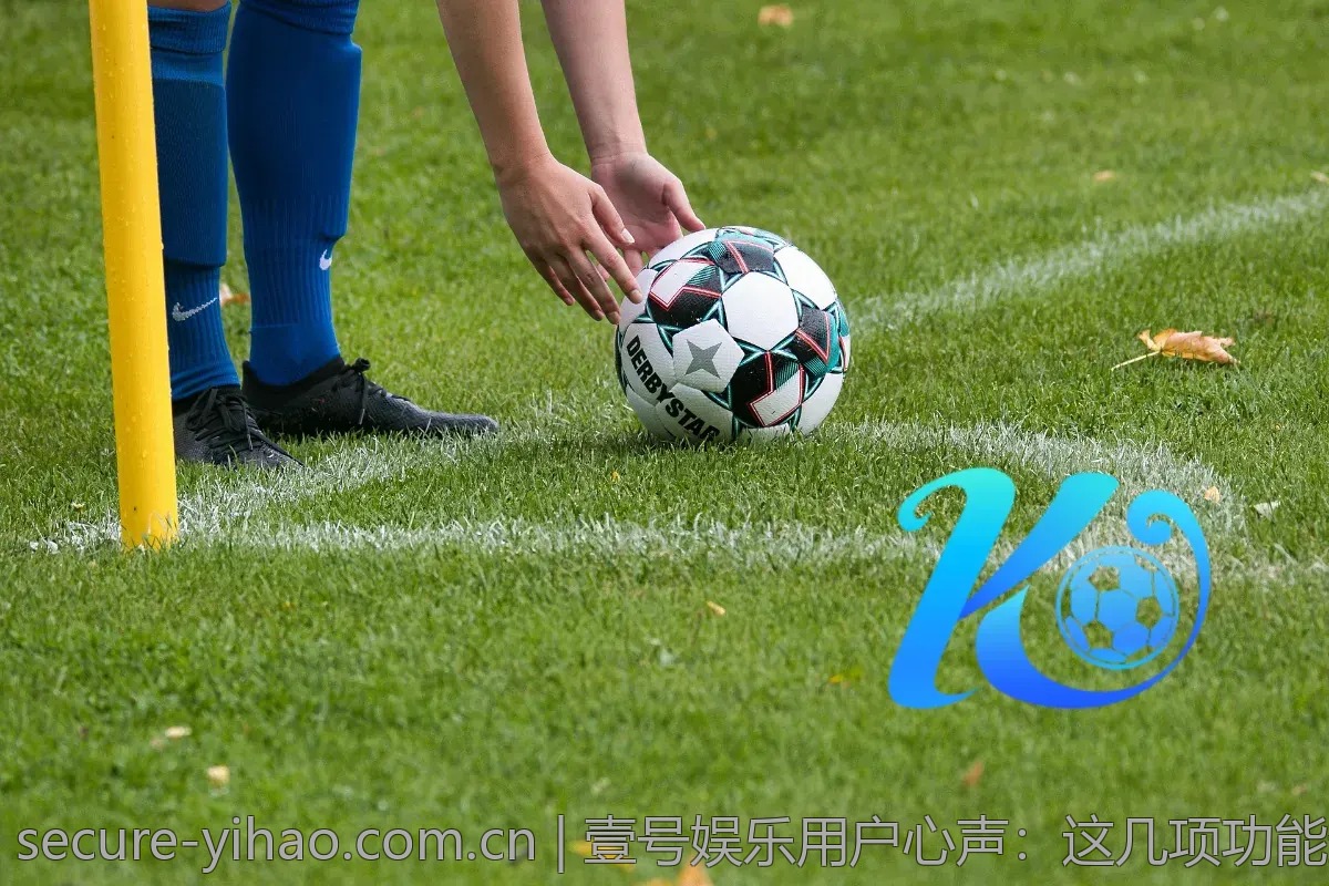 壹号娱乐用户心声：这几项功能最受欢迎
